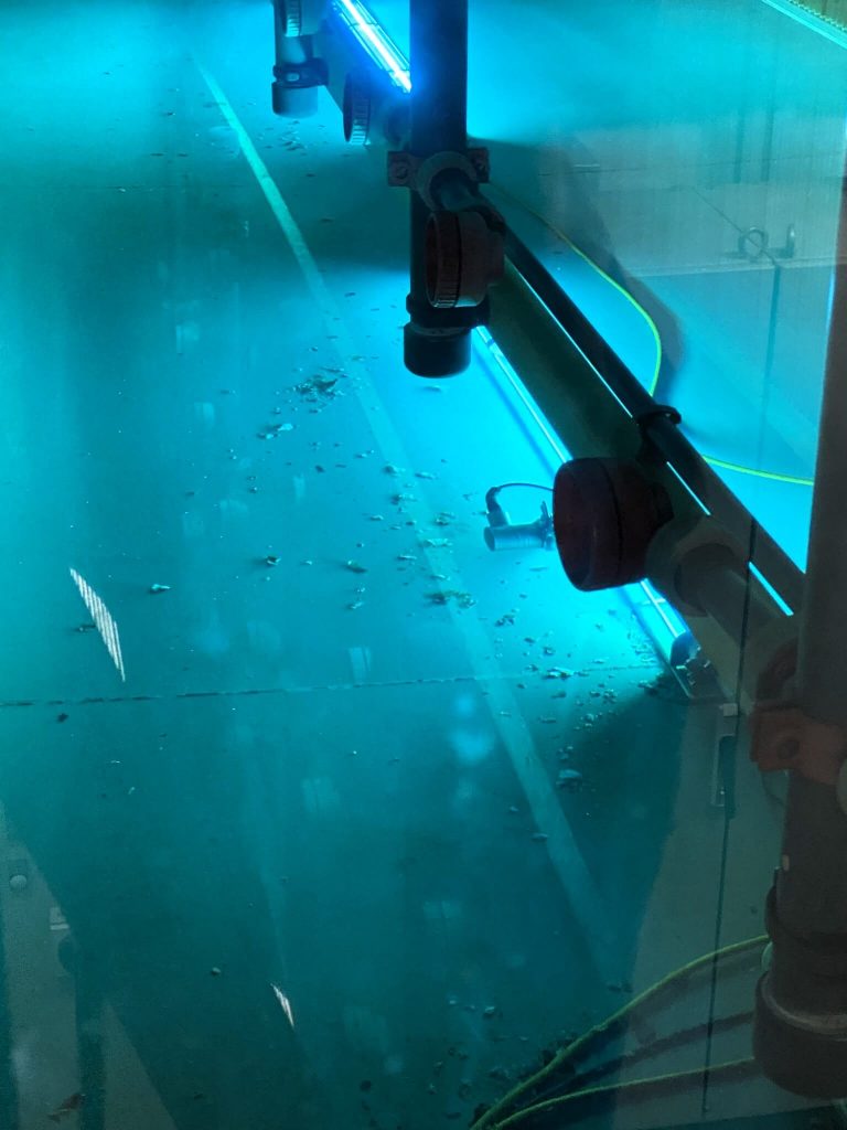 RLT-Anlage UV-Desinfektion Befeuchterwanne