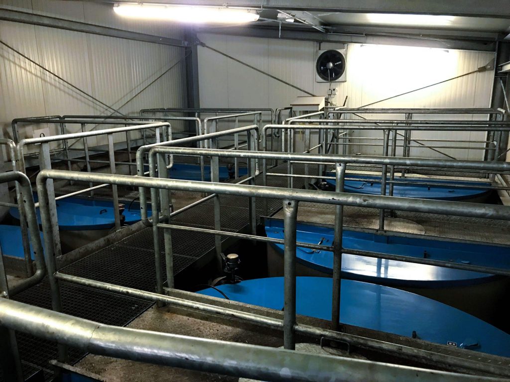 Verdunstungskühlanlage Nebenstromfiltration